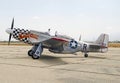 Buzzin' Cuzzin' P-51 Mustang Fighter Aircraft Royalty Free Stock Photo