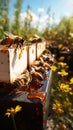 Buzzing apiary with bees in flight, landing on hive boards vibrant apiculture scene