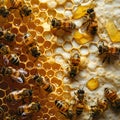 Buzzing bees over a honey background