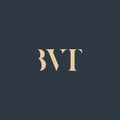BVT abstract letter logo Royalty Free Stock Photo