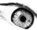 BW emotional eye