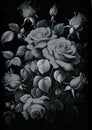 BW Painting bouquet of roses with black background, esthetic, rococo