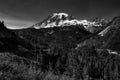 BW Rainier Royalty Free Stock Photo