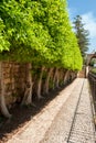 Byblos is a Mediterranean city in the Mount Lebanon Royalty Free Stock Photo