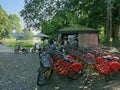 Bycicle to rent at the public city garden