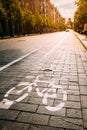 Bycycle Road Sign, Road Marking Of Bicycle Path Along Avenue Or