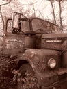 Sepia tone vintage farm truck body overgrown with shrubs Royalty Free Stock Photo