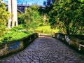 Byker farm bridge sun summer sun Royalty Free Stock Photo