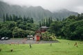 Byodo-in Buddhist Temple, island Oahu, Hawaii Royalty Free Stock Photo