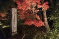 Byodo-in Buddhist temple in Uji, Kyoto, Japan Royalty Free Stock Photo