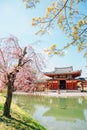 Byodo-in temple with spring cherry blossom in Uji, Kyoto, Japan Royalty Free Stock Photo