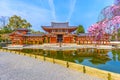 Byodo-in Temple, Japan Royalty Free Stock Photo