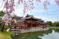 Byodo-in Temple in Uji, Kyoto, Japan during spring. Cherry blossom in Kyoto, Japan. Royalty Free Stock Photo