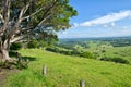 Byron Shire landscape in the sumer. Royalty Free Stock Photo