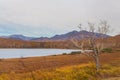 Bystra river, forest in autumn , Kamchatka, Russia. Royalty Free Stock Photo