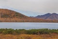 Bystra river, forest in autumn , Kamchatka, Russia. Royalty Free Stock Photo