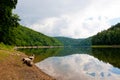 Bystrzyckie lake in zagorze slaskie Royalty Free Stock Photo