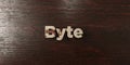 Byte - grungy wooden headline on Maple - 3D rendered royalty free stock image