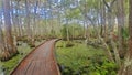 Swamp boardwalk john lafitte nature preserve Royalty Free Stock Photo