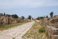 The Byzantine road. Al-Bass Tyre necropolis. Roman remains in Tyre. Tyre is an ancient Phoenician city. Tyre, Lebanon Royalty Free Stock Photo