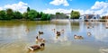 BÃÂ¶blingen, Germany, Lower Lake with Ducks and Old Town Royalty Free Stock Photo