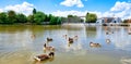 BÃÂ¶blingen, Germany, Lower Lake with Ducks and Old Town