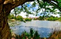 BÃÂ¶blingen, Germany, Lower Lake with Ducks and Old Town