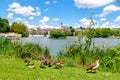 BÃÂ¶blingen, Germany, Lower Lake with Ducks and Old Town Royalty Free Stock Photo