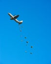 C-130 Cargo Drop Royalty Free Stock Photo