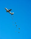 C-130 Cargo Drop