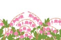 Spring flowers field seamless pattern background and borders with Asian bleeding heart, heart shaped pink and white flower. Royalty Free Stock Photo