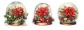 Set of Christmas snow globes with a bouquet of poinsettii Royalty Free Stock Photo