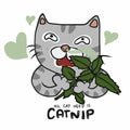 Cat smelling catnip, all cat need is catnip cartoon