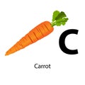 C for carrot vector illustration. basic learning English