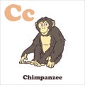 C for Chimpanzee