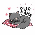 Fur mama, Cat sleeping on pink pillow cartoon illustration