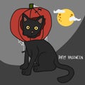Black cat wear pumpkin head , Halloween concept cartoon  illustration Royalty Free Stock Photo
