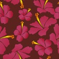 Seamless Tropical Hibiscus Flower vector Pattern. Pink gradient with maroon background. Ideal for fabric, textile, scrapbook, mugs Royalty Free Stock Photo