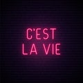 C`est La Vie neon signboard.