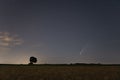 C / 2020 F3 comet NEOWISE in the evening sky. On the horizon is a silhouette of a tree and a bright comet among the stars. Royalty Free Stock Photo