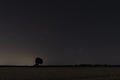 C / 2020 F3 comet NEOWISE in the evening sky. On the horizon is a silhouette of a tree and a bright comet among the stars. Royalty Free Stock Photo