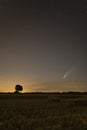 C / 2020 F3 comet NEOWISE at sunset. Landscape with wheat field and bales on horizon with a tree silhouette. Royalty Free Stock Photo