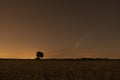 C / 2020 F3 comet NEOWISE at sunset. Landscape with a wheat field and a tree silhouette. At night, there is a bright comet and a Royalty Free Stock Photo