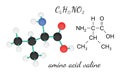 C5H11NO2 valine amino acid molecule Royalty Free Stock Photo