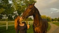 CLOSE UP: Loving young woman kisses her majestic brown horse on the snout. Royalty Free Stock Photo