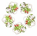 C-reactive protein (CRP, human) inflammation biomarker, chemical structure. Infections and inflammation cause increased blood