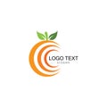 C Vitamin & Orange Logo. Symbol & Icon Vector Template.