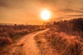 CA trail leads to beach at sunset in Cape May Meadows NJ in early spring with warm soft light Royalty Free Stock Photo