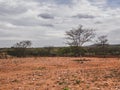 Rural region of the brazilian northeastern interior. The semi-arid tropical climate has the caatinga as a vegetation biome.