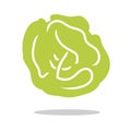 Cabage icon logo vector illustration isolated Royalty Free Stock Photo